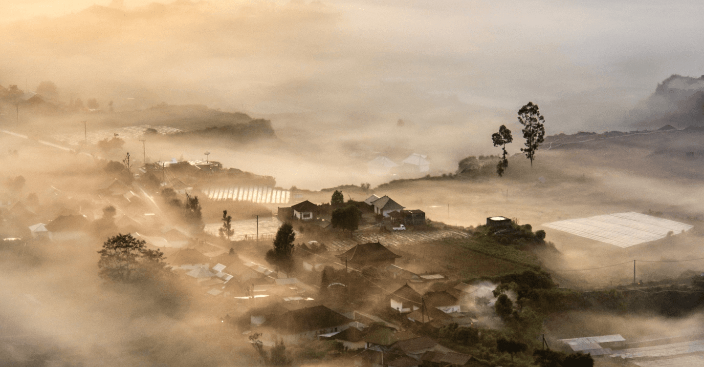 Infomation Title Image