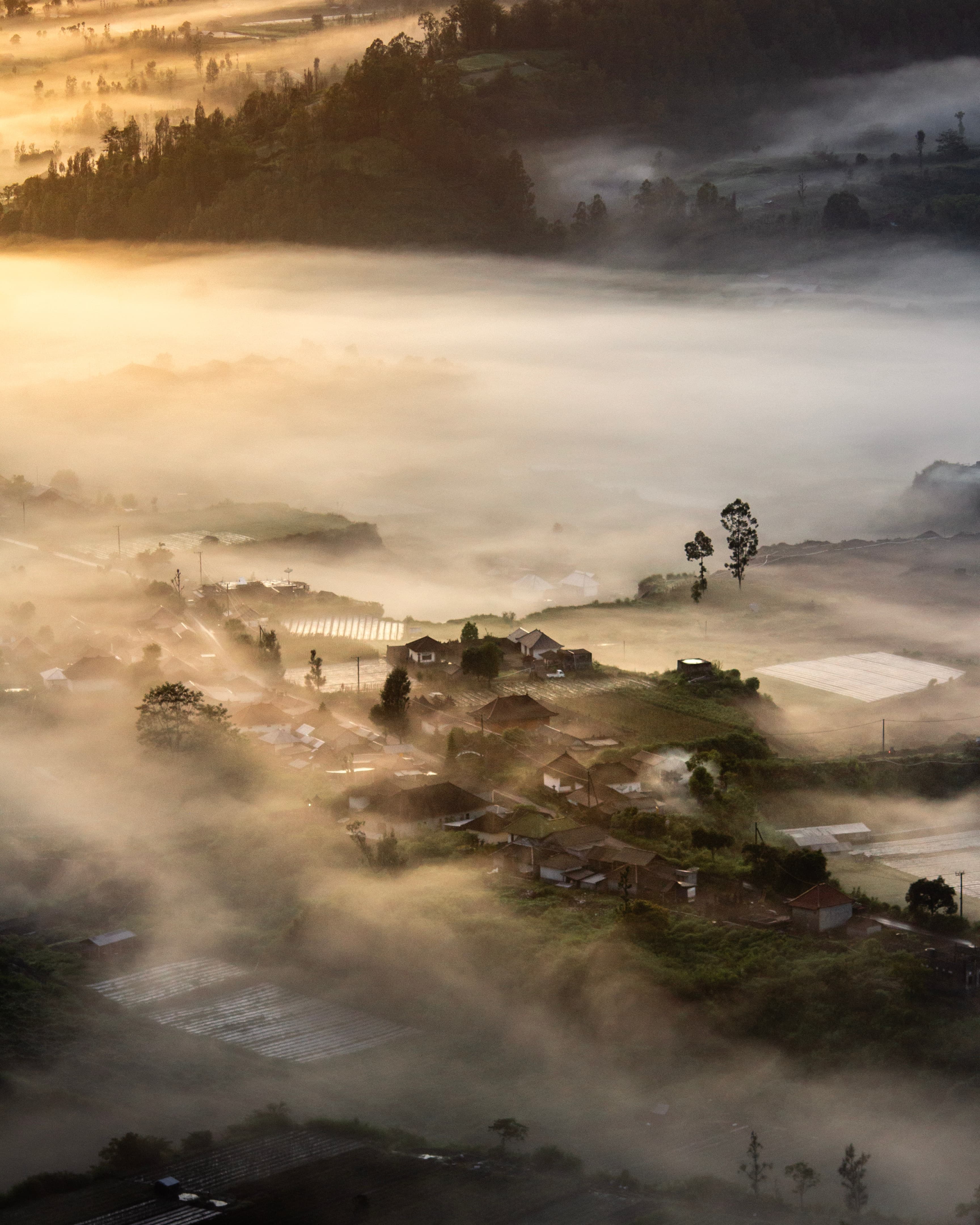 5-kintamani-things-title-photo